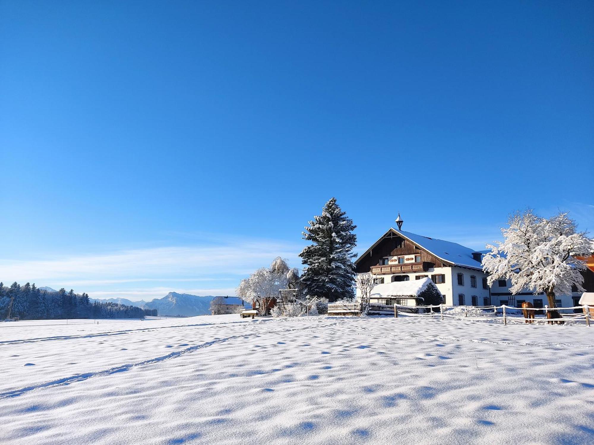 Bauernhofferien Oberduernberg Villa Seekirchen am Wallersee Exterior foto