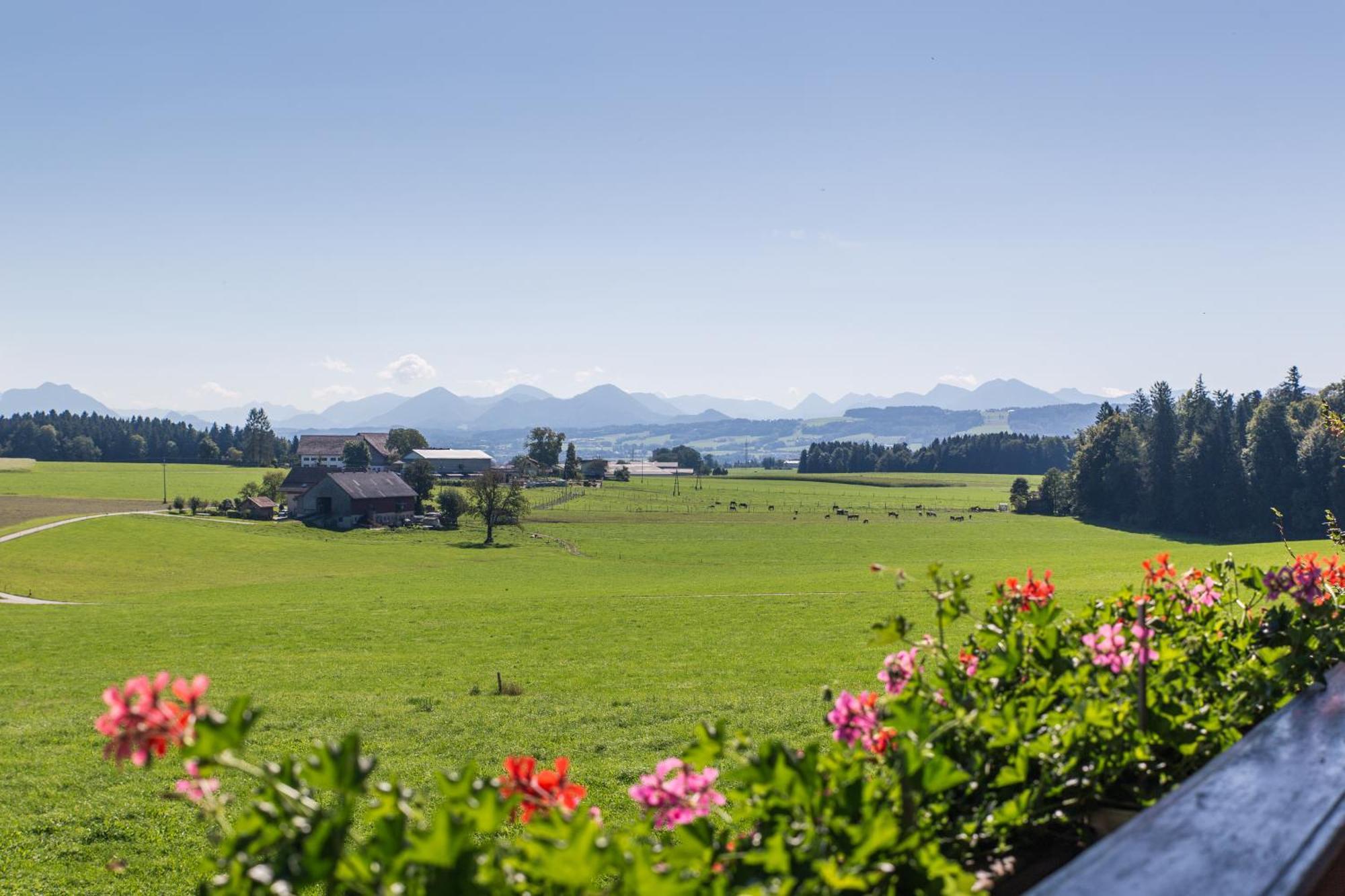 Bauernhofferien Oberduernberg Villa Seekirchen am Wallersee Cameră foto